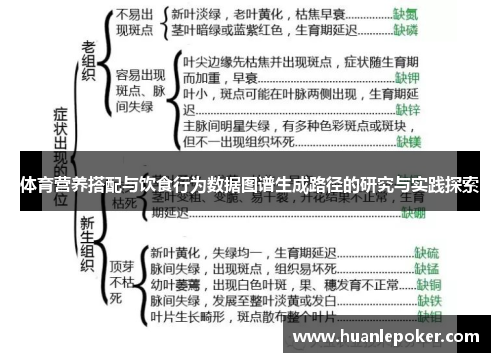 体育营养搭配与饮食行为数据图谱生成路径的研究与实践探索